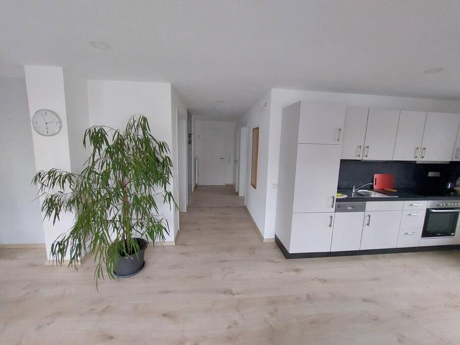באד ווילדונגן Ferienwohnung Koenigsquelle מראה חיצוני תמונה